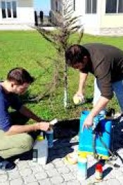 MEYVE AĞAÇLARI KIŞ UYKUSUNA HAZIRLANIYOR