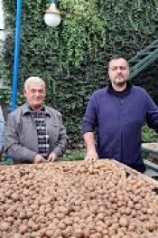 CEVİZ FİYATLARI KAÇLİRA OLMALI?