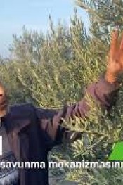 YILLARDIR BOŞA PARA VERMİŞİZ!