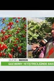 Bu meyvenin kilosu 300 TL. ‘den satılıyor!