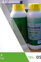 YAŞAR BAYRAM Agroida MANİSA Bayisi