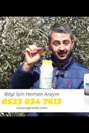 Zeytinde 3. uygulama başlıyor !..