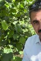 FINDIK ÜRETİCİLERİNİN DİKKATİNE…