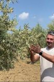 ZEYTİNCİLERE EK UYGULAMA UYARISI