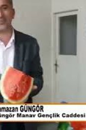 SOĞUK ve DİLİMLENMİŞ KARPUZ