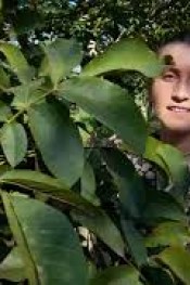 Melisa’dan ceviz üreticilerine çağrı…