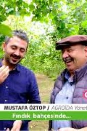 FINDIK BAÇESİNDEN KARELER