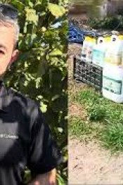 FINDIKDA HASAT SONU UYGULAMANIN ÖNEMİ