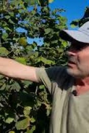 FINDIKTA 60’I YAKALADI