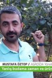 40 DÖNÜMDEN 11 TON FINDIK ALDI