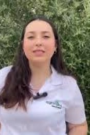 ZEYTİN ÜRETİCİLERİNİN DİKKATİNE!