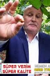 FINDIK’DA SÜPER ENERJİ FARKI