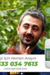 FINDIK DAL SAYISI NE OLMALI ?